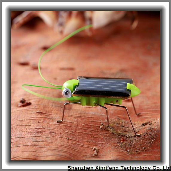 Eco-friendly Gadgets Plastic Small Solar Toys Solar Insect Solar Spider Toys for Kids Toy
