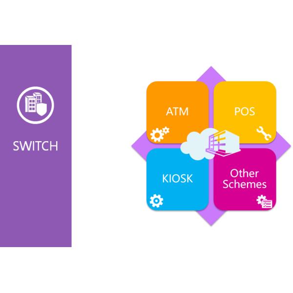 Flexible CMS Card Management System Transaction Switch VISA Card Schemes