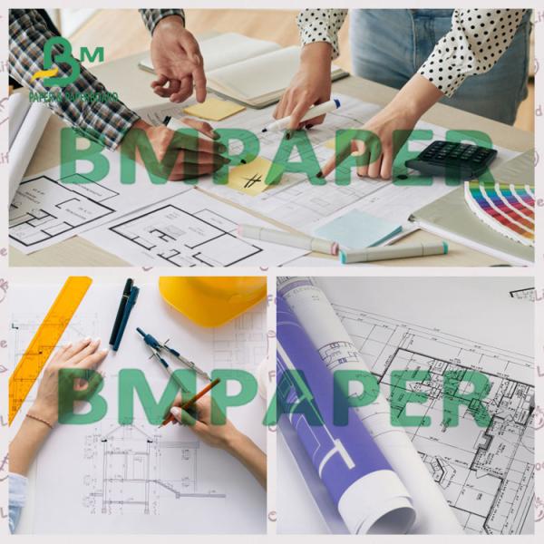 20LB Single Sided Blue CAD Plotter Drawing Paper For Everyday Use Single Sided Blue 20LB Plotter Paper With Raw Wood Pulp Material For Everyday Use