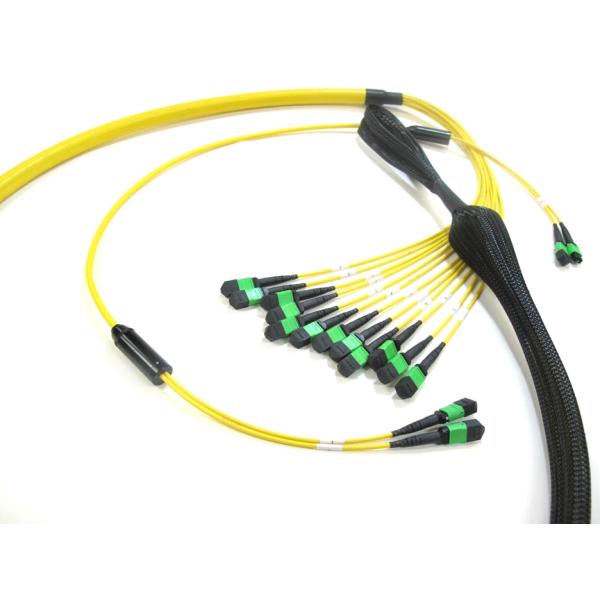 OM3 8F MPO Fiber Optic Cable Assemblies