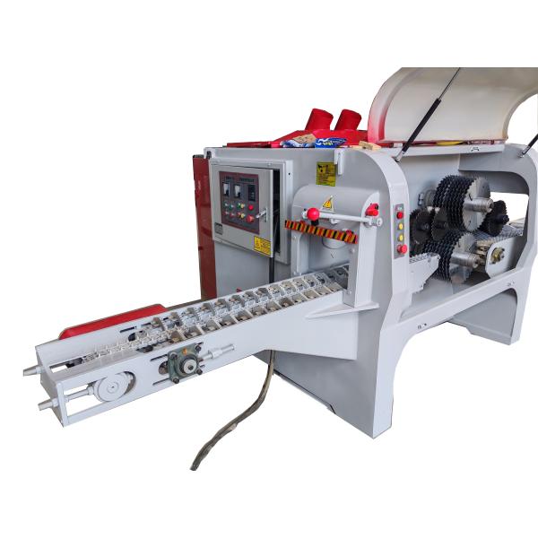 MGJY10-30WS double spindle Multiple rip saw For Processing wood logs