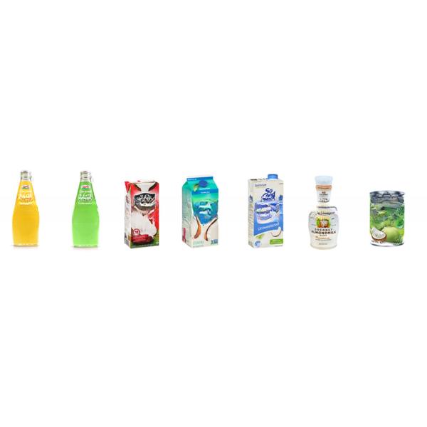 Turnkey Project for Coconut Milk Processing Line Standard Size Advanced Technology