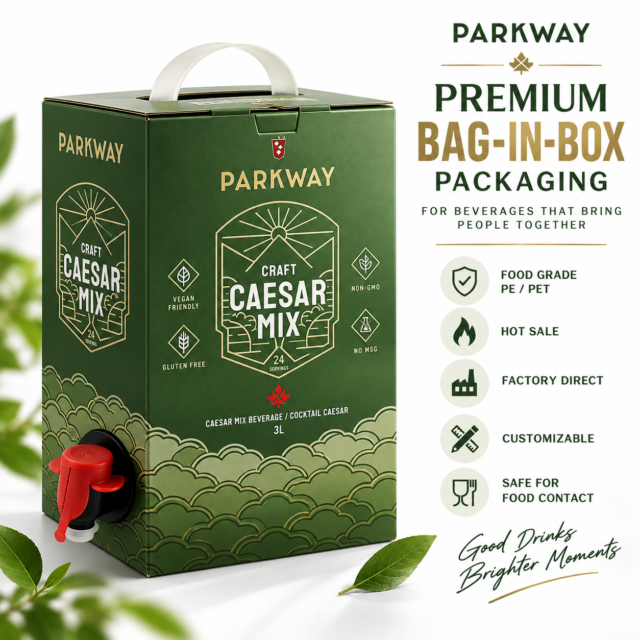 Smooth Surface Bag In Box Customized Packaging Solution With Handle Ideal For Liquid Storage And Transport