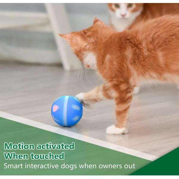 Electronic Dog Ball Wicked Ball Self Moving Motion Activated Ball Interactive