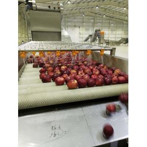 Apple Pulp Jam Processing Line Puree & Paste Making Machine