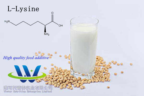 Feed Grade Customization Customized Request L-Lysine HCl