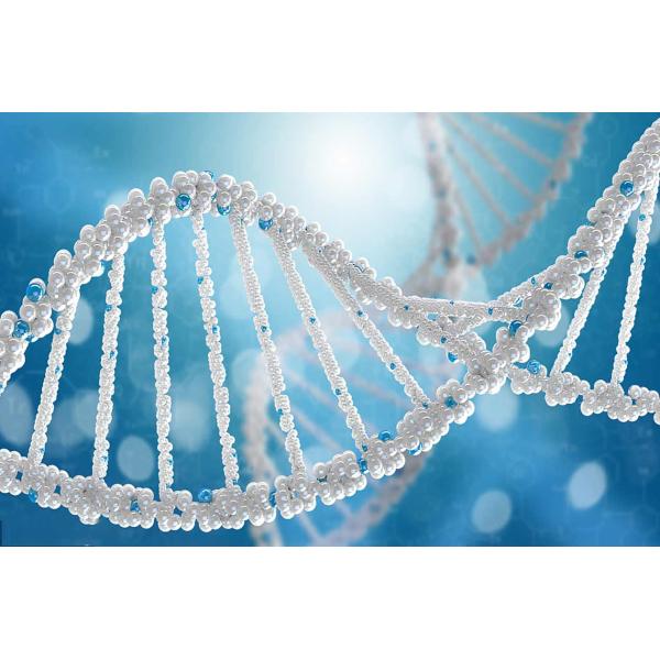 Ambient Storage 3 Line Patented 100% Sensitivity HIV Rapid Test Kit
