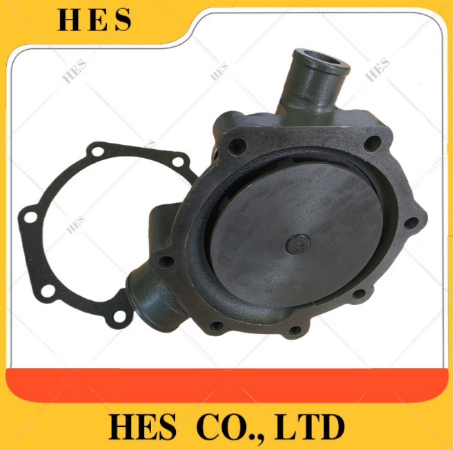 1000054021 WATER PUMP WP6