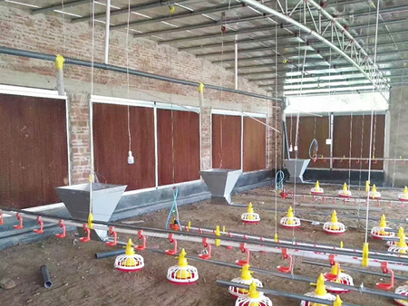Outdoor New Material Cooling System for Chicken House High Absorbablity Evaporative Cooling Pads
