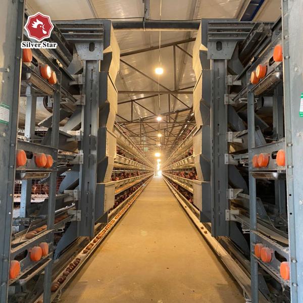 Poultry Layer Cage System High Capacity Poultry Solution Battery Cage for Layers