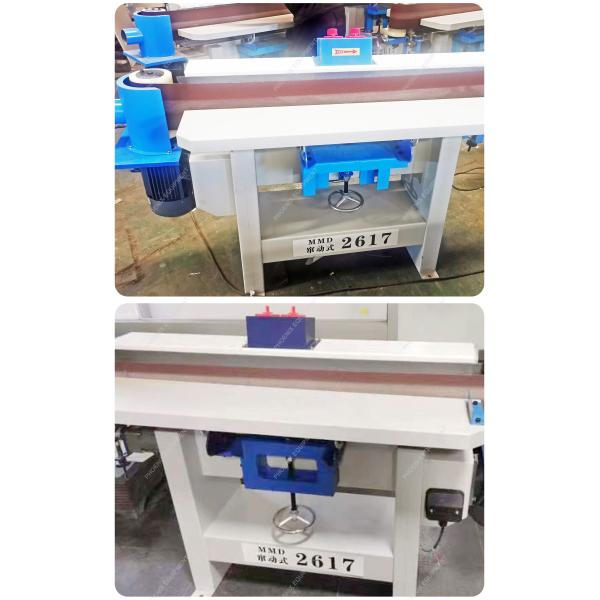 Advanced Technology Vertical Oscillating Sander Belt Sanding Machine for Woodworking