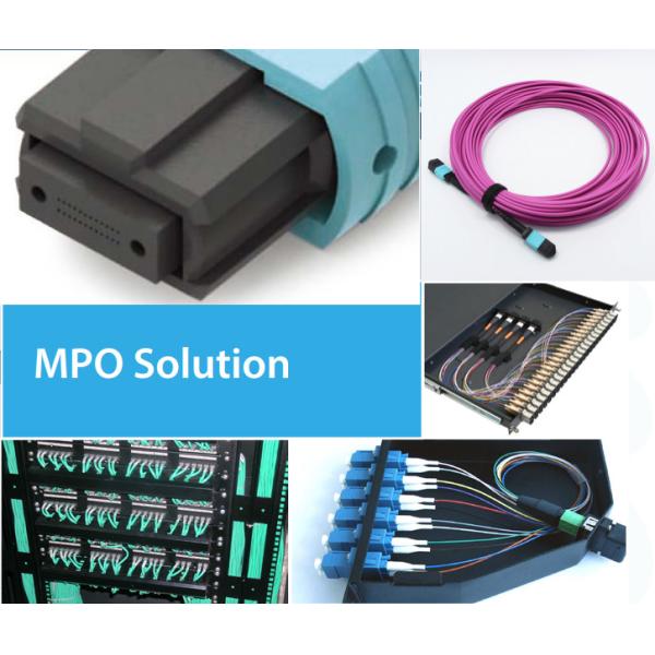 Fiber Optic Patch Cord MPO / MTP Connector 48 Fiber SM Type