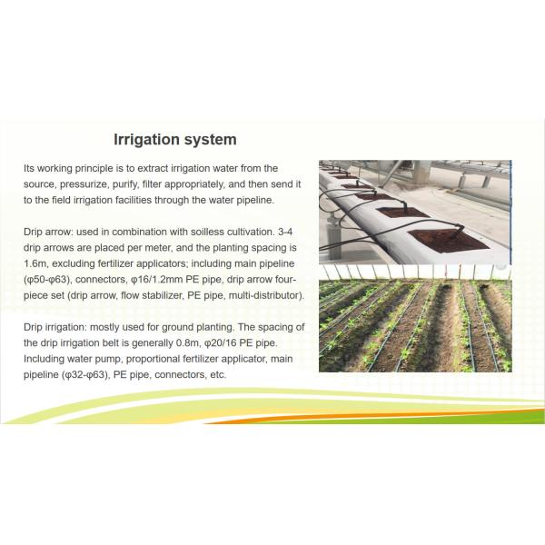 Customizable Multi Span Greenhouse For Tomato Plants Growing