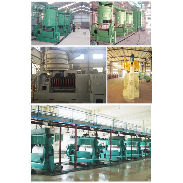 Automatic Grade Automatic Screw Cotton Seed Sunflower Pumpkin Seed Oil Mill Press Machine for Large-Scale Commercial