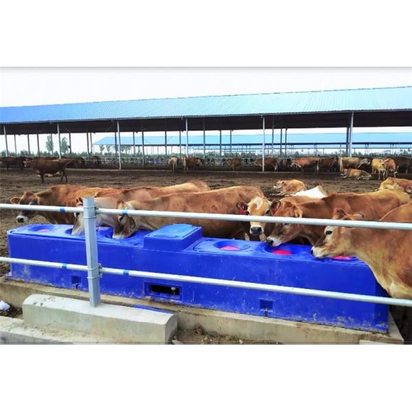 Contiuous Flow Automatic Plastic Cattle Drinking Troughs For Drinking Trough Rotomolding