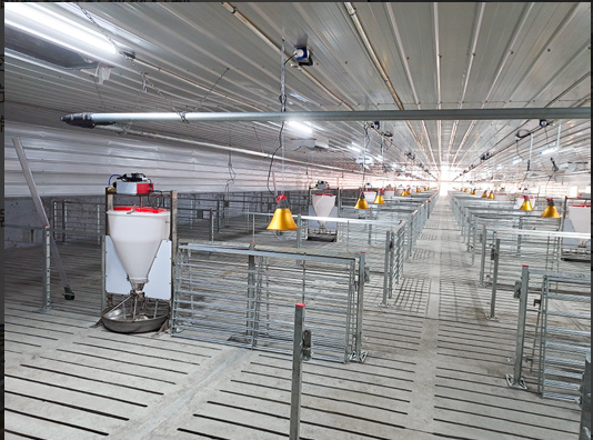 Physiological Parameter Based Design Pig Breeding Equipment RFID Intelligent Sow Management Cable Tray