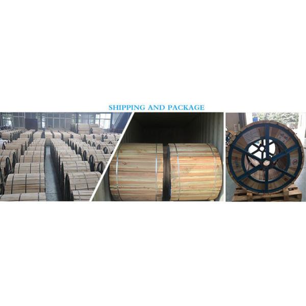 Customized Aaac Acsr Aac Conductor 50mm2 100mm2 Conductor Cable