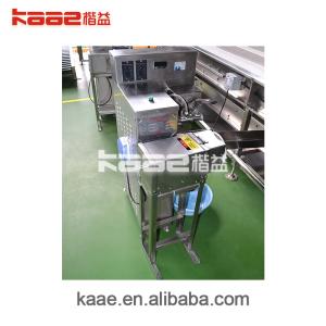 Fully Automatic Dried Persimmon Processing Line Easy Operation