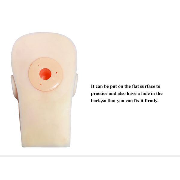 5D Reusable Mannequin Head Permanent Makeup Tattoo Practice Skin