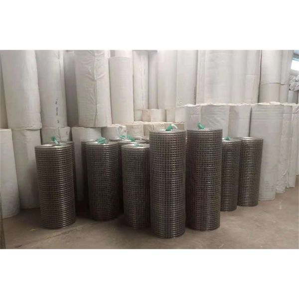 Breeding Net / Plastered 1x30m Ss Welded Wire Mesh