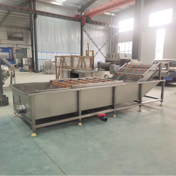 Commercial Automatic Fruit and Vegetable Washing Machine Bubble Cleaning Machine