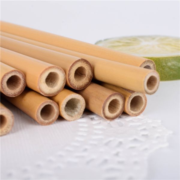 Customization Biodegradable Kitchen Accessories Set with Eco Friendly Reusable Straws