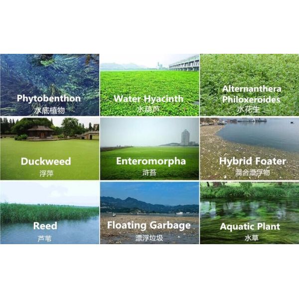 Automatic Aquatic Plant Harvester 300-3000m³/h 2000mm Working Width