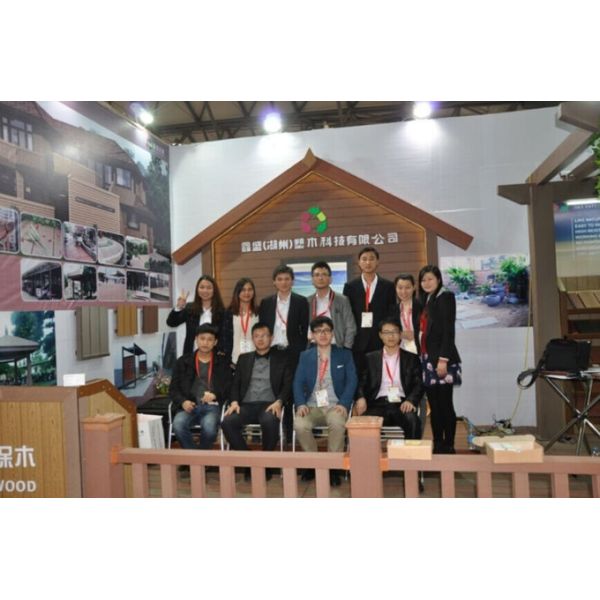 117 X 14MM Graphic WPC Wall Panel Wpc Outdoor Wall Cladding
