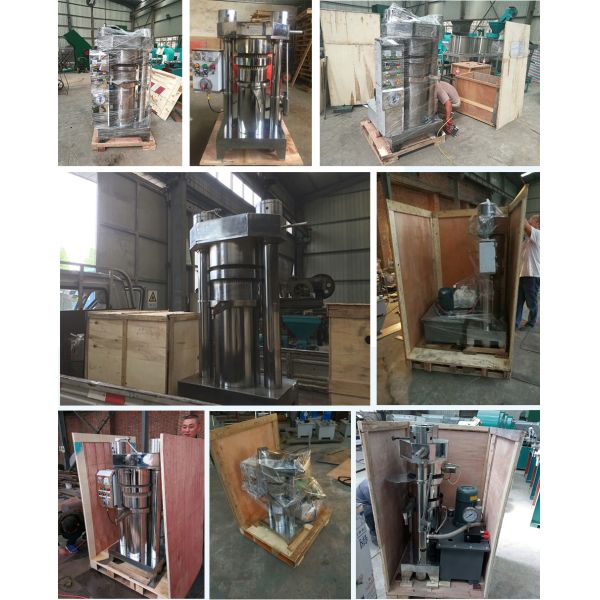 Cold Hot Pressing Machine High Safety Level Automatic Cocoa Butter Press Machine Sesame Walnut Oil Extraction Machine Cocoa Hydraulic Press