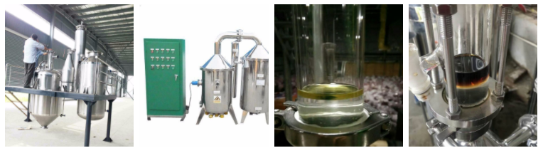 20kg/batch Capacity Small Oil Vacuum Distillation Machine for Eucalyptus Essential Oil Extraction