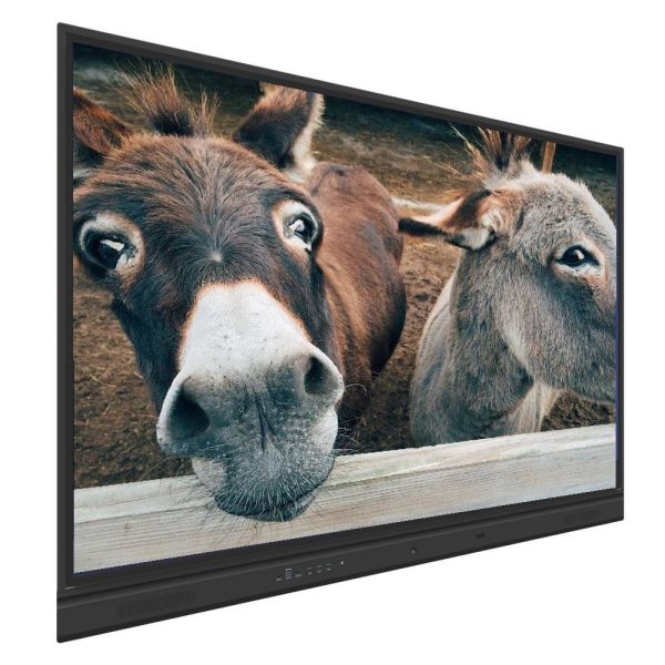 Iboard Interactive Whiteboard 98 105 110 Inch 4K Resolution Aluminum Frame With Teaching Office Software Zoom Teams Meeting Camera Mic Optional for