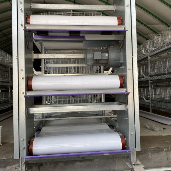 Automatic Egg Collection Hot-Dip Galvanized Battery Chicken Cage with Computerized Control System for Poultry Farming