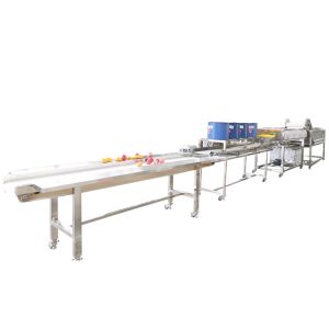 Farm Vegetable Processing Leafy Vegetables Processing Machine