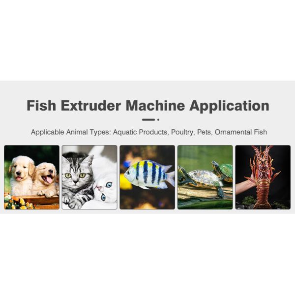 Tilapia Automatic High Quality Floating Fish Feed Machine Anime Rape Pellet Machine Capacity Floating Pellet Fish Feed Production Line Making Mixing