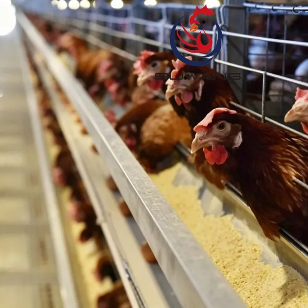 Labor Saving H Type Superimposed Layer Cage 3-10 Tiers For Efficient Poultry Farming
