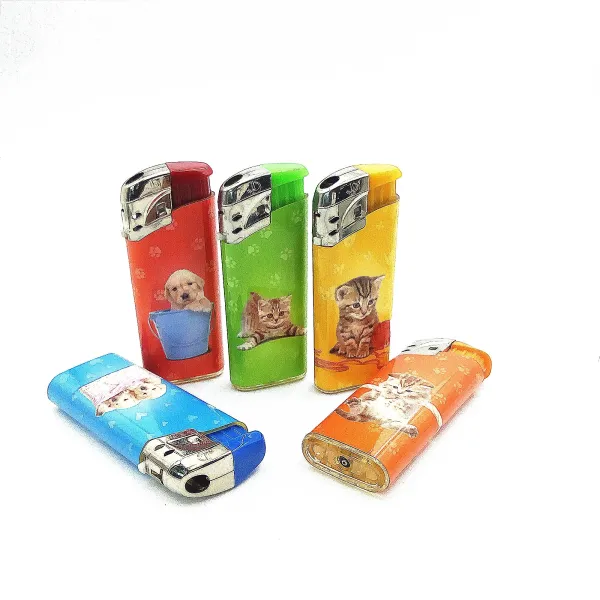 Solid Colors DY-068 Electric Gas Lighter With Labels