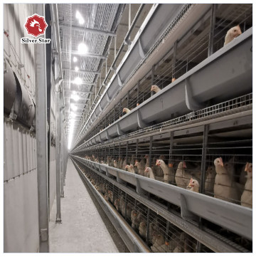 Hot Galvanized Automatic A Type H Type Chicken Cages Layer For Poultry Cage