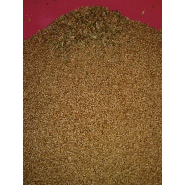 Intelligent Buckwheat Ccd Color Sorter Optical Sorting Machine