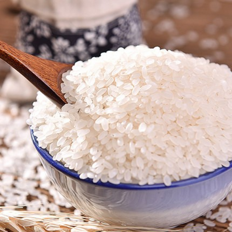 Rice Protein Powder Dairy-Free Soy-Free Plant Protein