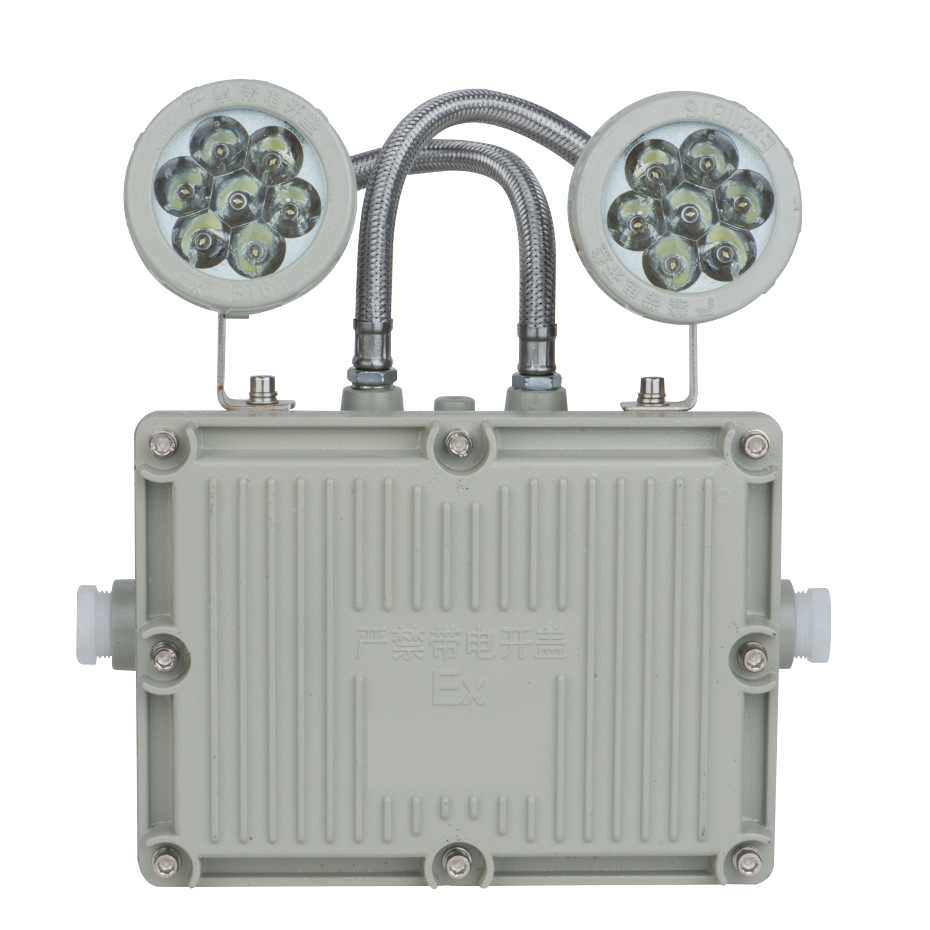 Industrial 12v Rechargeable Explosion Proof Emergency Light With 2 Heads