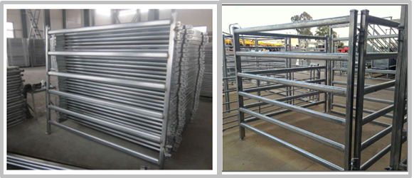 Multi Function Green Livestock Panels Cattle Corral Fencing Easily Assembled