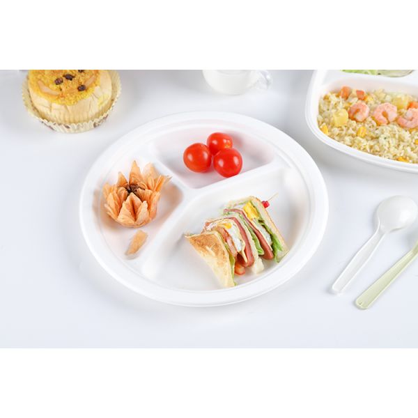 Disposable sugarcane bagasse dishes compostable biodegradable plates