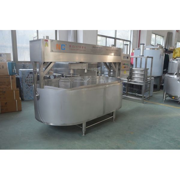 220V/380V Voltage Cheese Processing Plant with Customer Requirements