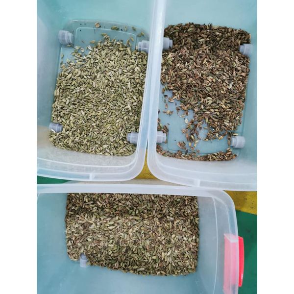 Multipurpose Beans Color Sorter 32 Chute Intelligent