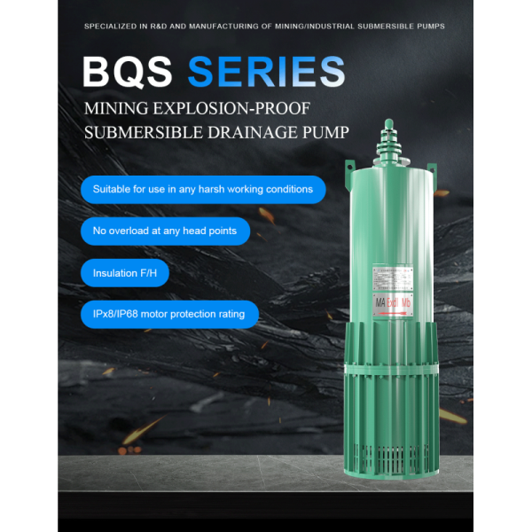 BQS 55kW Explosion Proof Submersible Pumps Durable And Efficient Performance For Challenging Environments