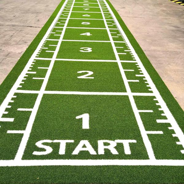 Multi-function Dorelom Multi-function Grass Artificial Color Gym Mat with Printing Logo