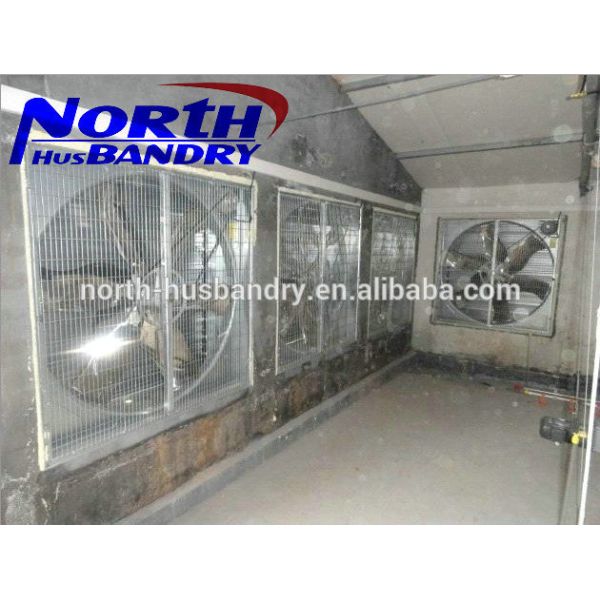 Exhaust Fan