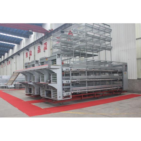 Galvanized Poultry Broiler Cage Laminated Multi Level Prefabricated