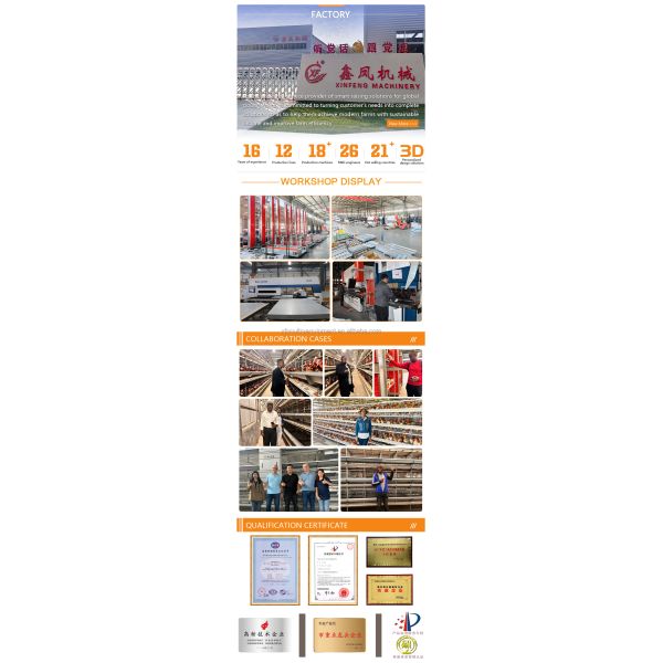 Automatic Battery Day Old Chicks Poultry Equipment Automated Pullet Brooding Cages for Layers