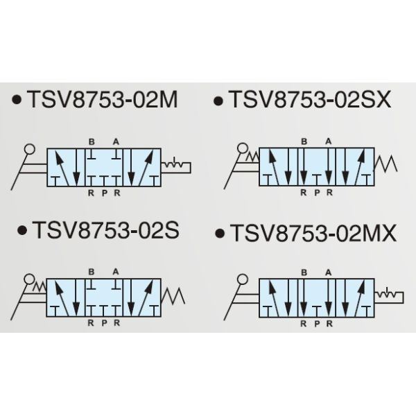 5/3 Way Pneumatic Manual Valve
